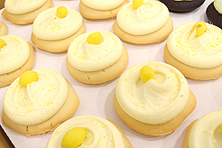 FABULOUS AGING CONFERENCE